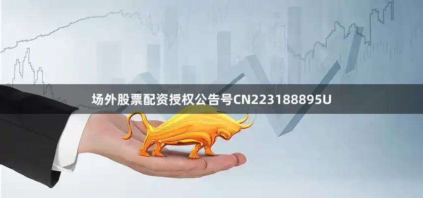场外股票配资授权公告号CN223188895U