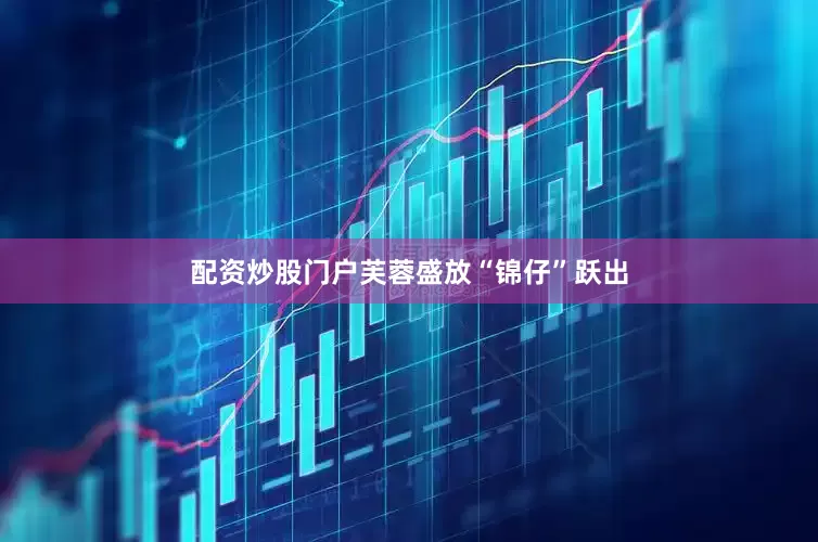配资炒股门户芙蓉盛放“锦仔”跃出